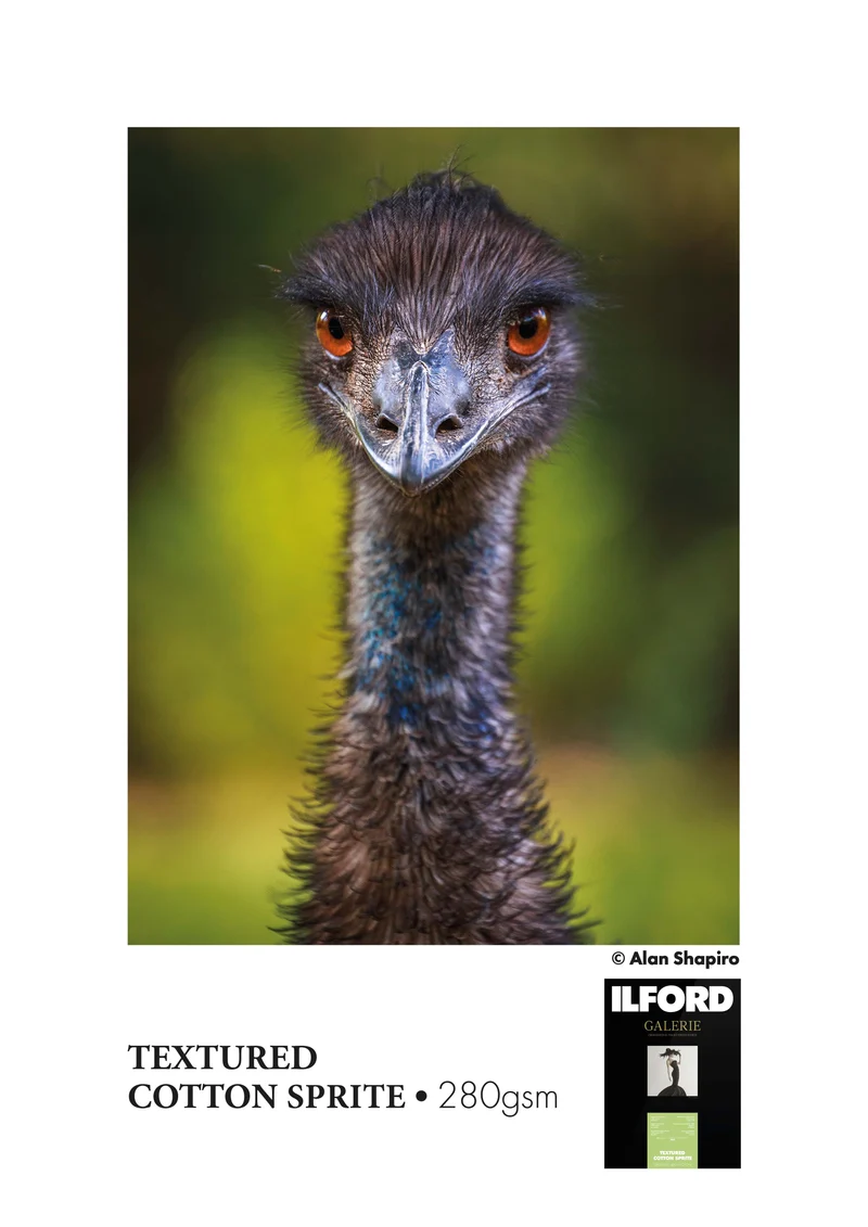 ILFORD GALERIE Textured Cotton Sprite (GTCSJ)
