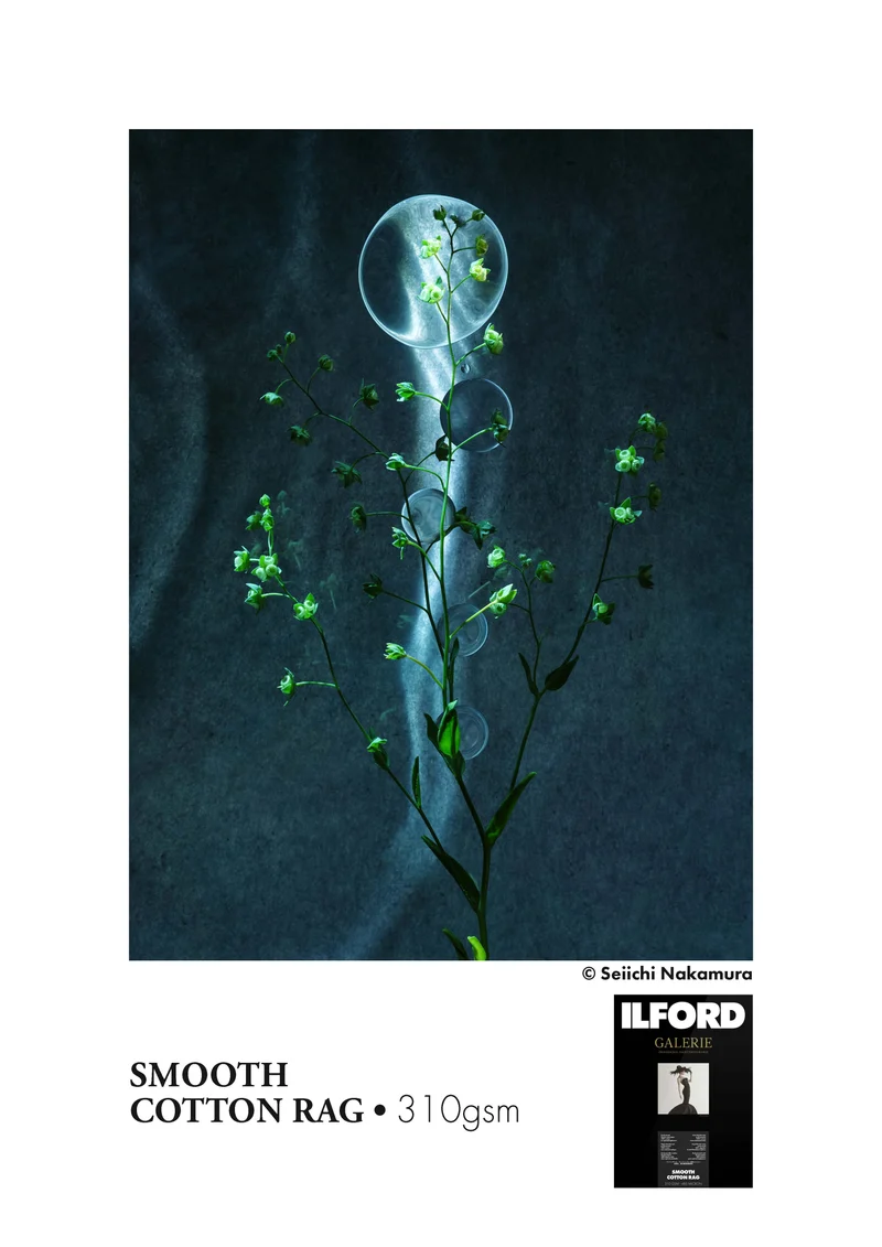 ILFORD GALERIE Smooth Cotton Rag (GPSC)