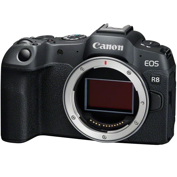 Canon EOS R8 + EF - RF mount adapter