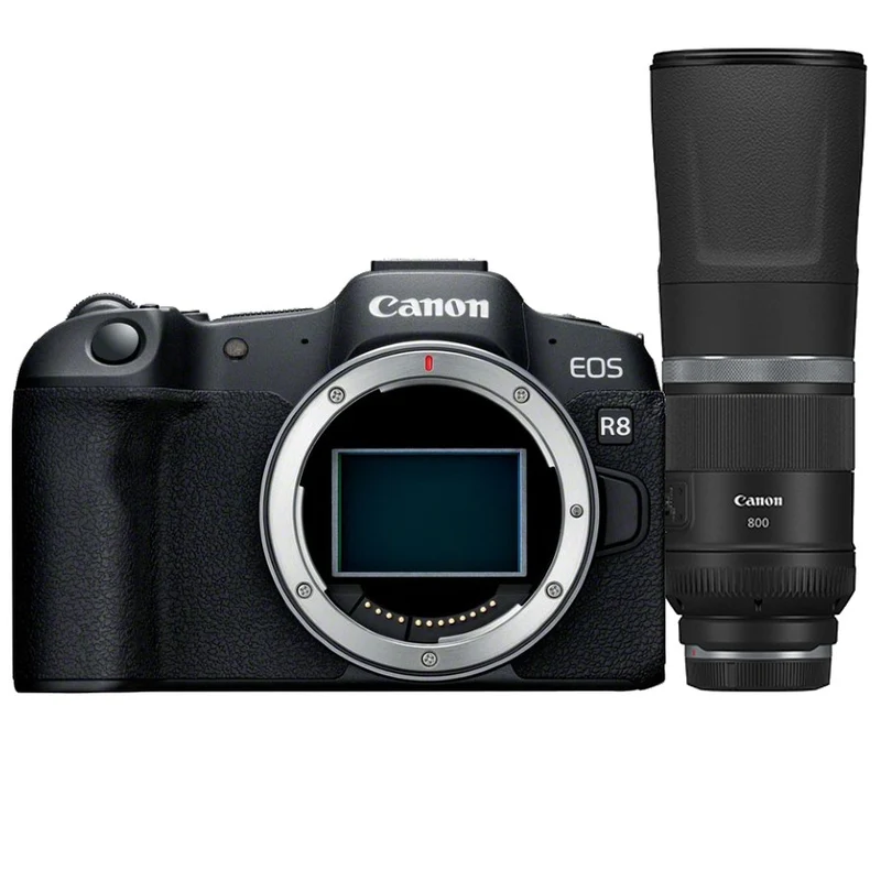 Canon EOS R8 Gehäuse + RF 800mm f/11.0 IS STM