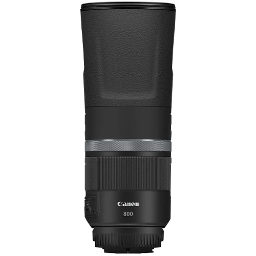 Canon EOS R8 Gehäuse + RF 800mm f/11.0 IS STM