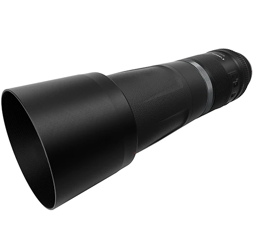 Canon EOS R8 Gehäuse + RF 800mm f/11.0 IS STM