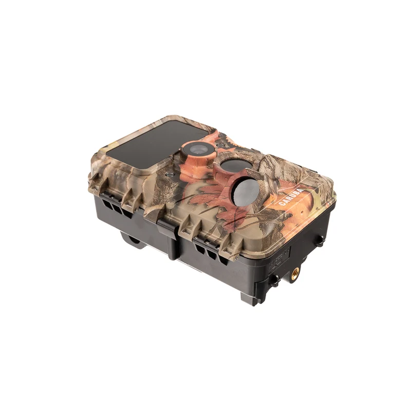 Caruba Wildlife Kamera Elch 4K