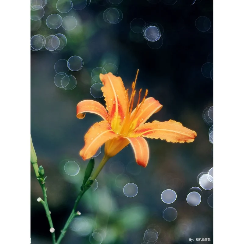 TTArtisan 100mm f/2.8 Bubble Bokeh Leica M