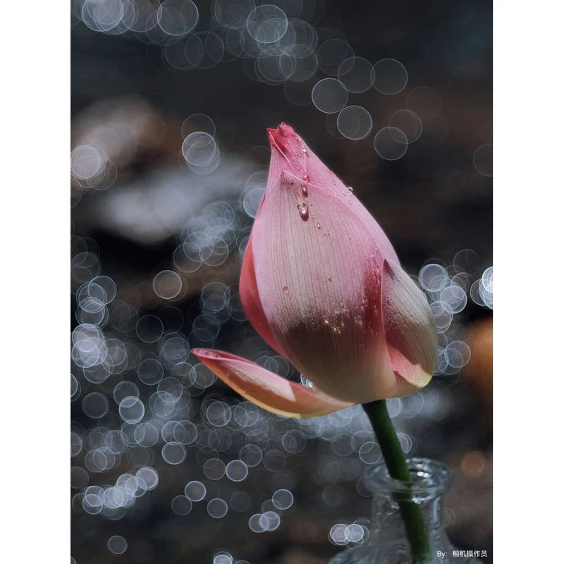 TTArtisan 100mm f/2.8 Bubble Bokeh Leica M