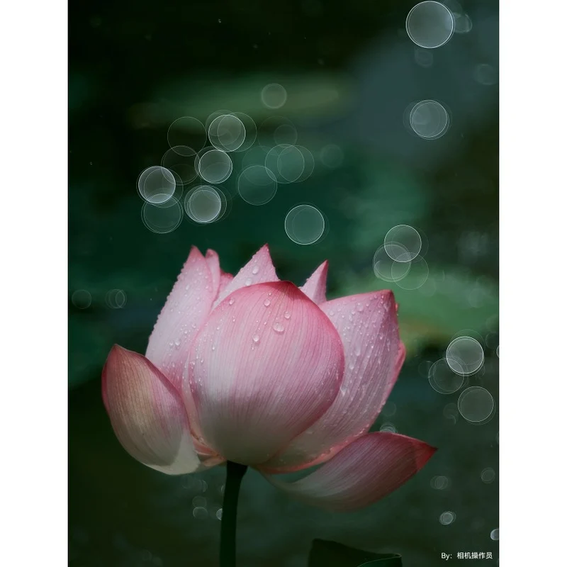 TTArtisan 100mm f/2.8 Bubble Bokeh M42