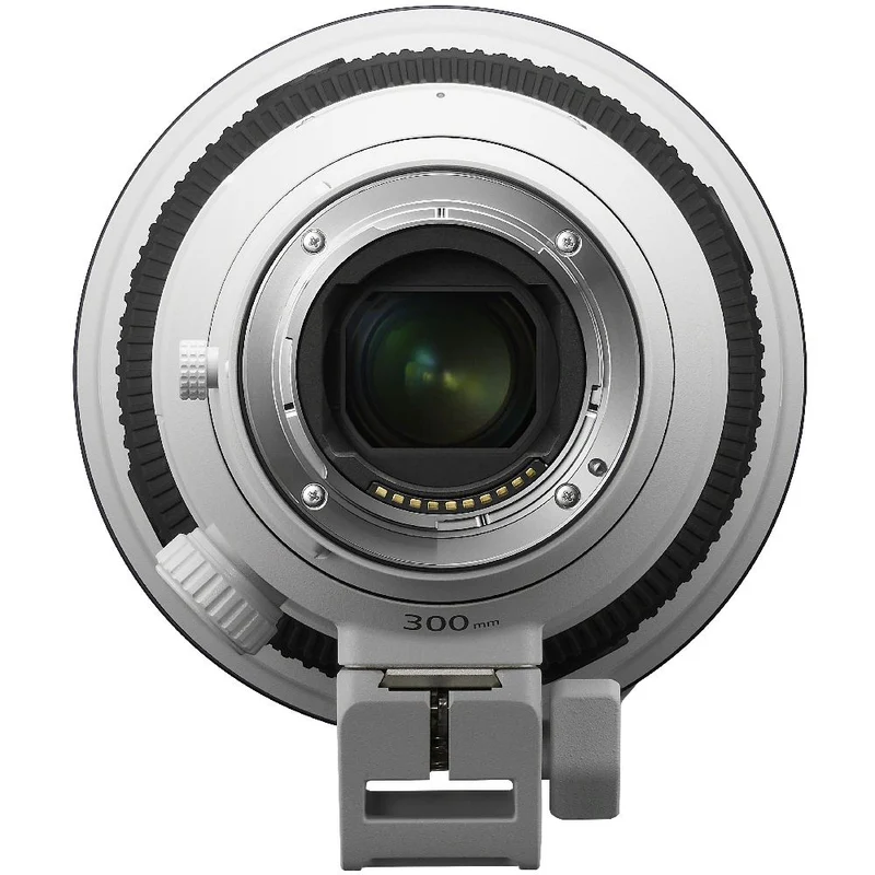 Sony FE 300mm f/2.8 GM OSS