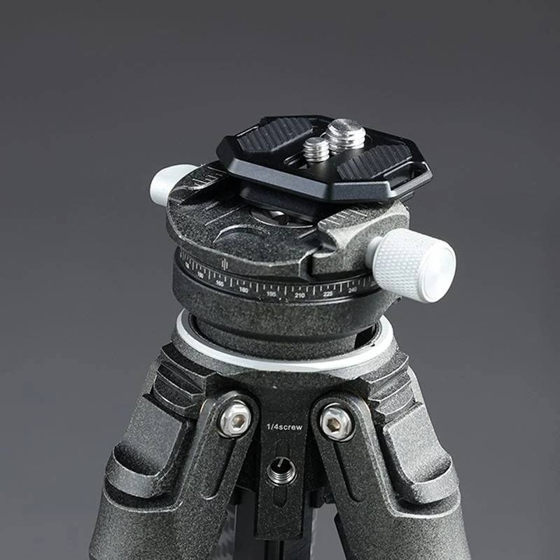 Falcam F38 Schnellwechselplatte mit zwei Schraubengewinden V2 2969A