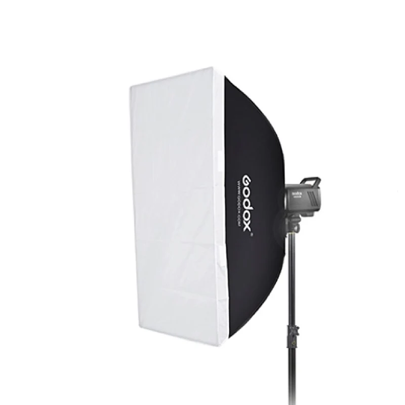 Godox Litemons LA200D Tageslicht Duo Kit