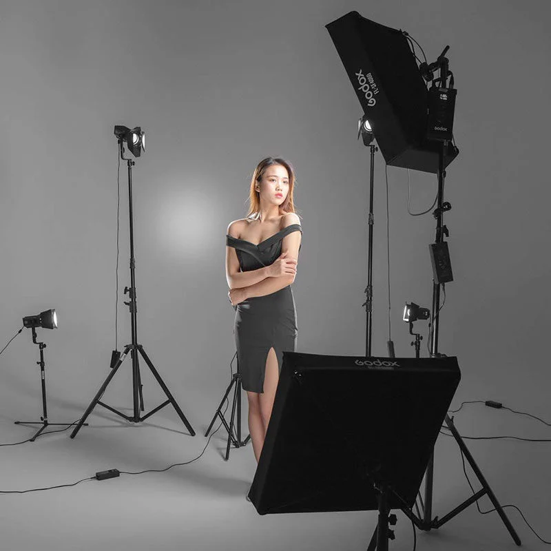 Godox Softbox and Grid for Soft LED light FL100