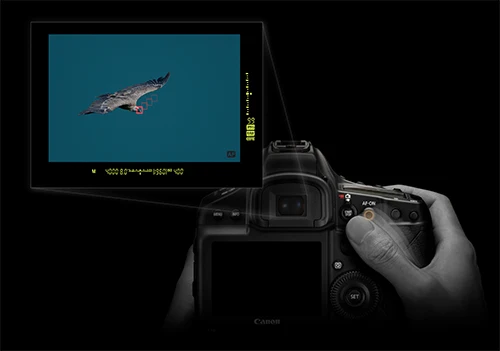 Canon EOS 1DX mark III Body