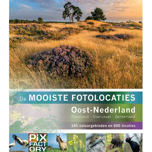 Pixfactory Die schönsten Fotolocations der Ost-Niederlande