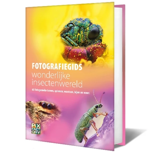 Fotografie-Leitfaden wunderbare Insektenwelt