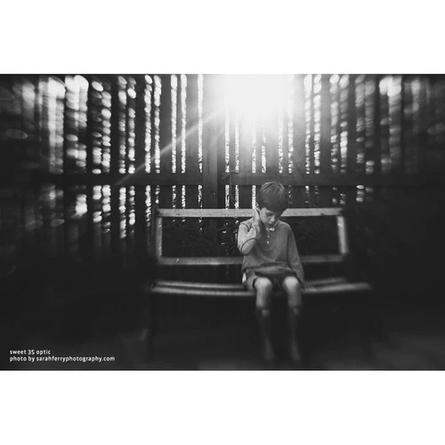 Lensbaby Composer Pro II Nikon Z mit Sweet 35