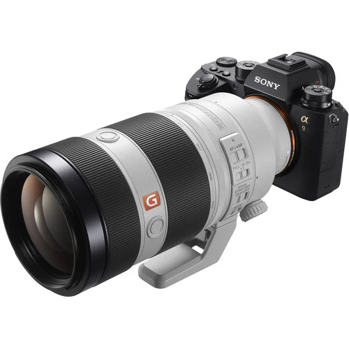 Sony A9 Mark II + 100-400mm GM OSS
