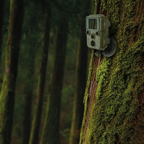 Braun Scouting Cam Black800 Mini Outdoor-Cam