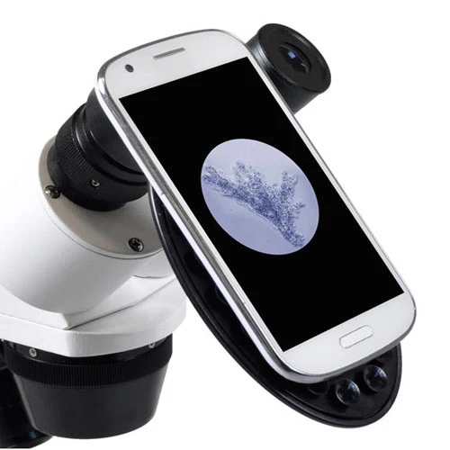 Bresser Mikroskop Erudit ICD Stereo (30,5)