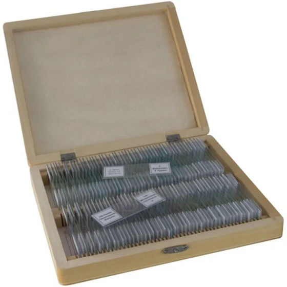 Bresser Dauerpräparate Set mit 100 Präparaten