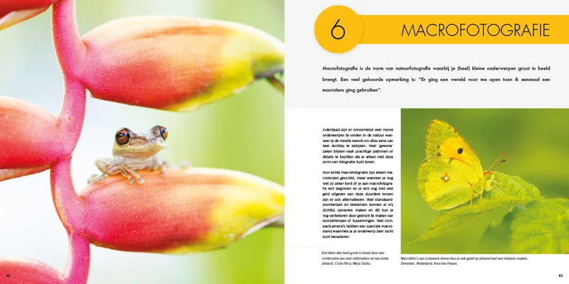 Pixfactory Nature Photography for Beginners