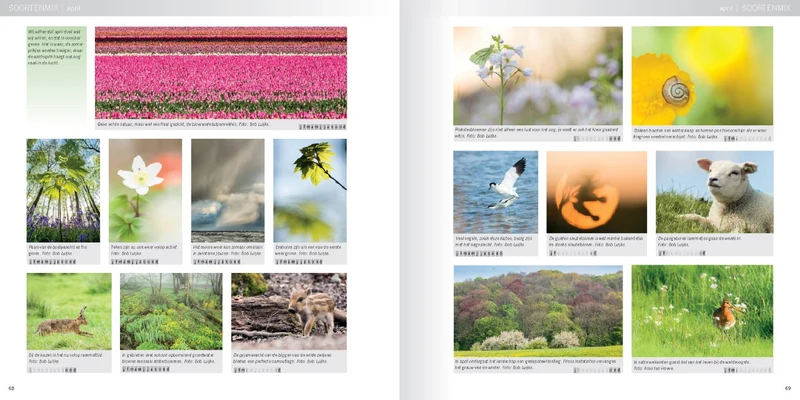 Pixfactory Practical Book Nature Photography Year-round