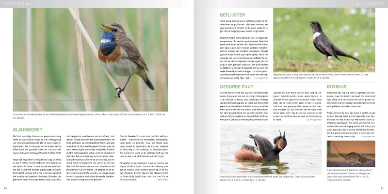 Pixfactory Practical Book Nature Photography Year-round