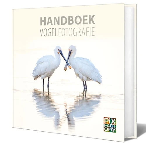 Handbuch Vogelfotografie