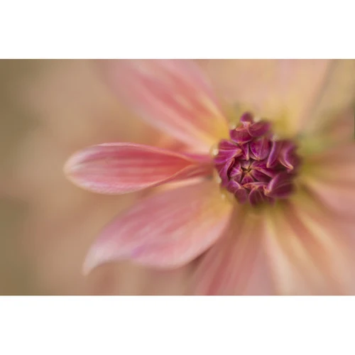 LensBaby Macro Filter Kit 46mm
