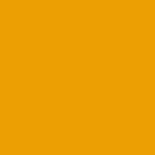 Bresser SBP14 2.00x11m Buttercup Yellow Background Roll