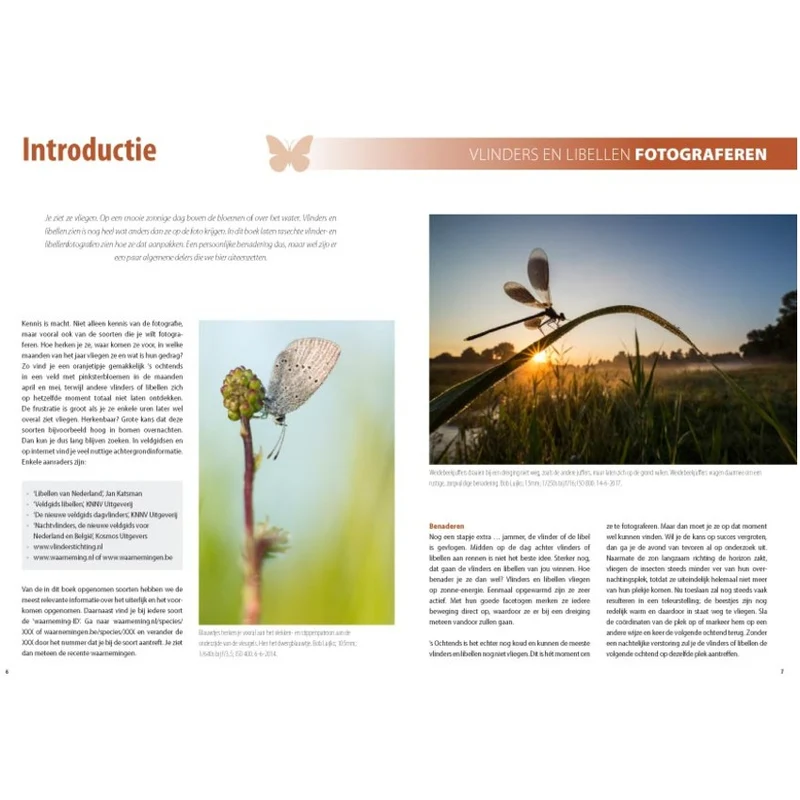Fotografie-Ratgeber Schmetterlinge und Libellen
