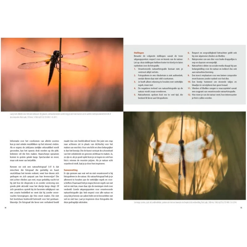 Fotografie-Ratgeber Schmetterlinge und Libellen