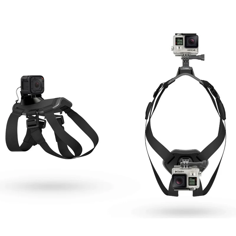 GoPro Fetch Dog Harness
