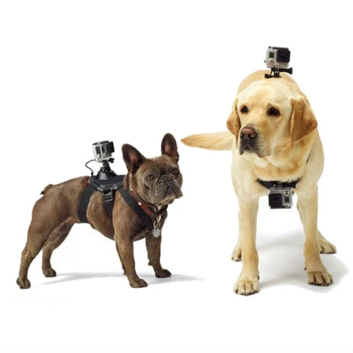 GoPro Fetch Dog Harness