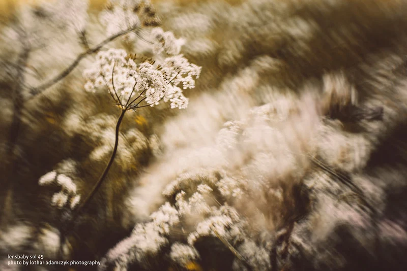 Lensbaby Sol 45 Nikon