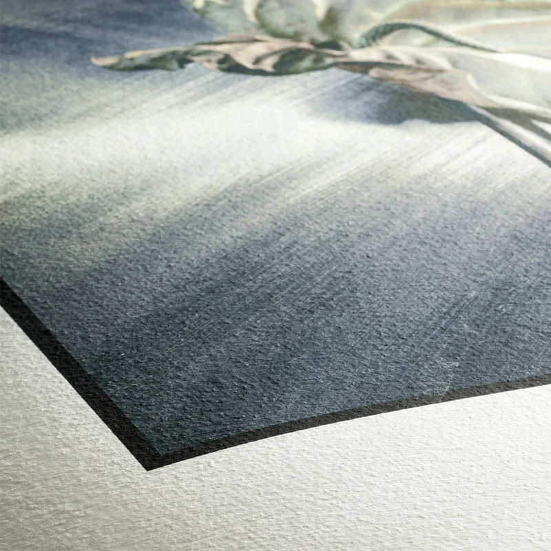 Hahnemuhle German Etching A3 25 sheets