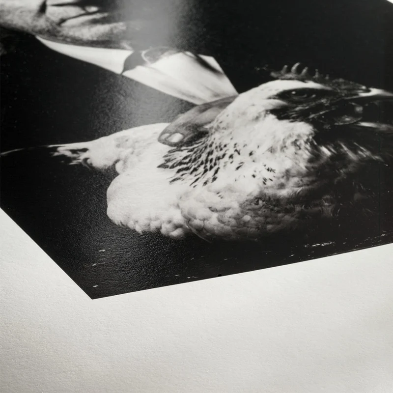Hahnemühle Photo Rag Baryta A4 25 Sheets