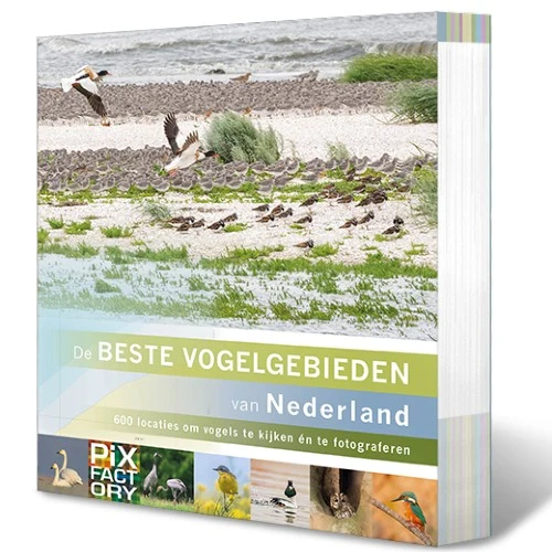 Pixfactory Die besten Vogelgebiete der Niederlande