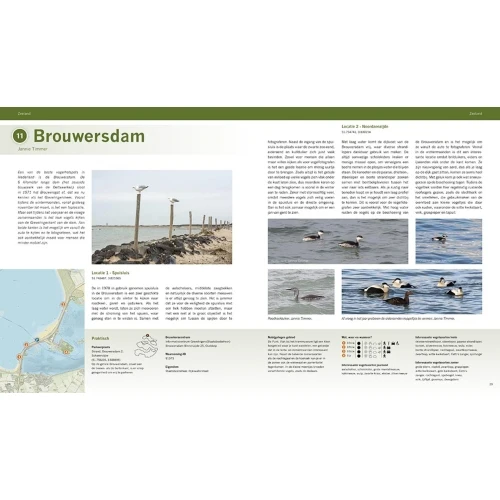 Pixfactory The Best Birding Areas of the Netherlands