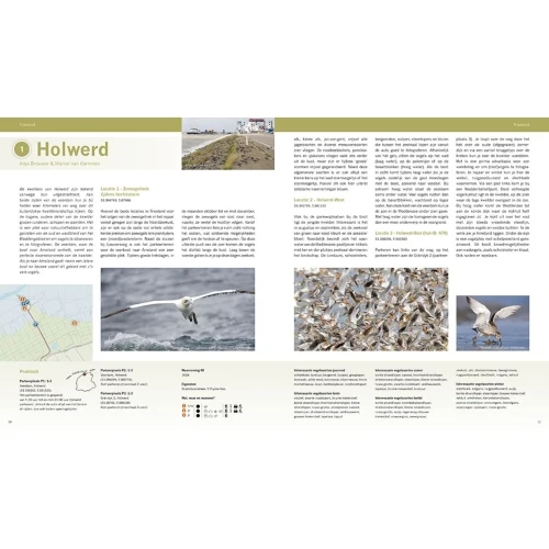 Pixfactory The Best Birding Areas of the Netherlands