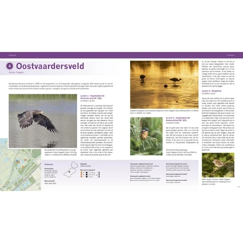 Pixfactory The Best Birding Areas of the Netherlands