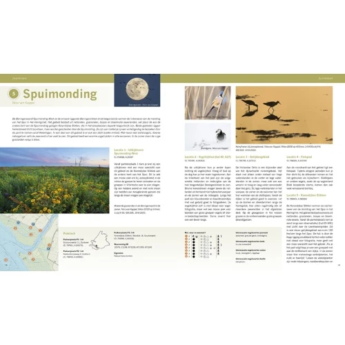 Pixfactory The Best Birding Areas of the Netherlands