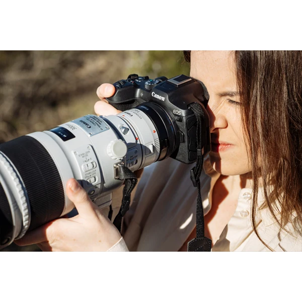Canon EOS R7 Body + RF-S 18-150mm f/3.5-6.3 IS STM + EF - RF Mount adapter