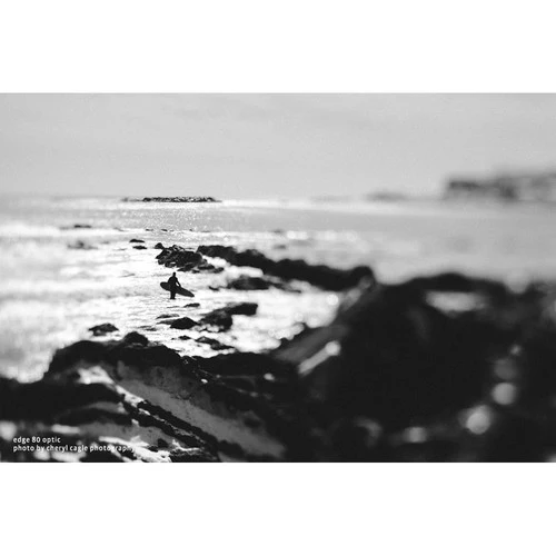 Lensbaby Composer Pro II mit Edge 80 Nikon Z