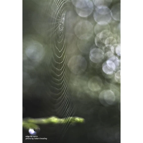 Lensbaby Composer Pro II mit Edge 80 Nikon Z