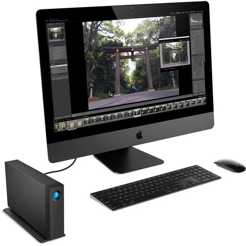 LaCie d2 Professional 16 TB USB-C