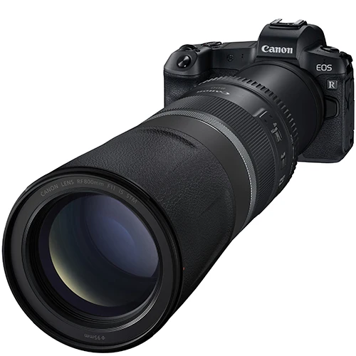 Canon RF 800mm f/11.0 IS STM