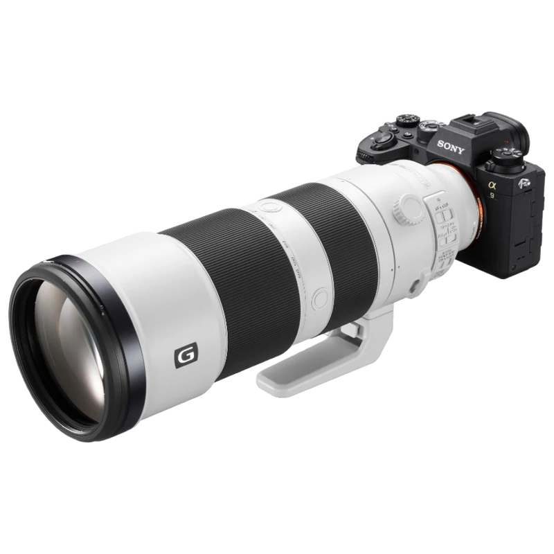 Sony A9 Mark II + 200-600mm FE f/5.6-6.3 G OSS
