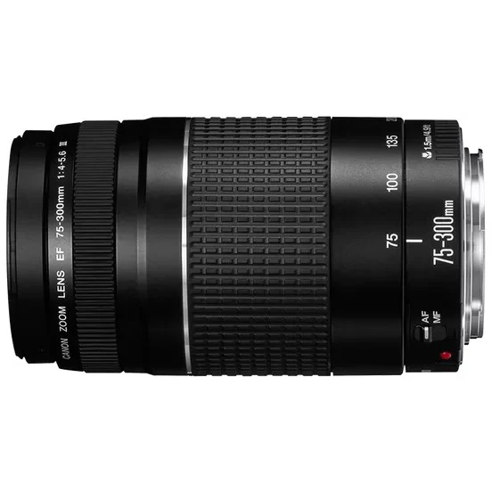 Canon EF 75-300mm f/4-5.6 III