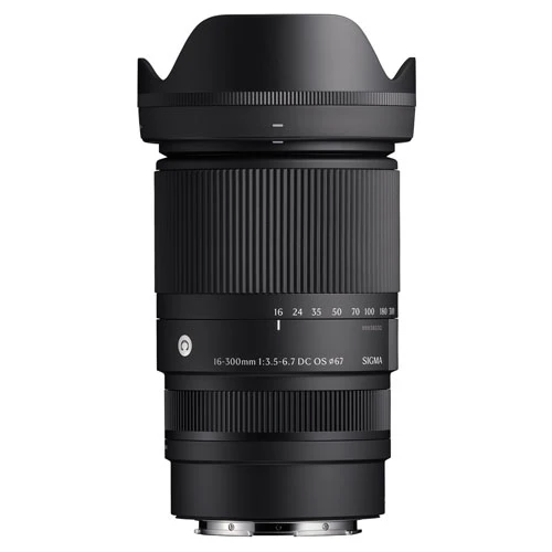 Canon EOS R10 Mirrorless Camera + Sigma 16-300mm f/3.5-6.7 DC OS