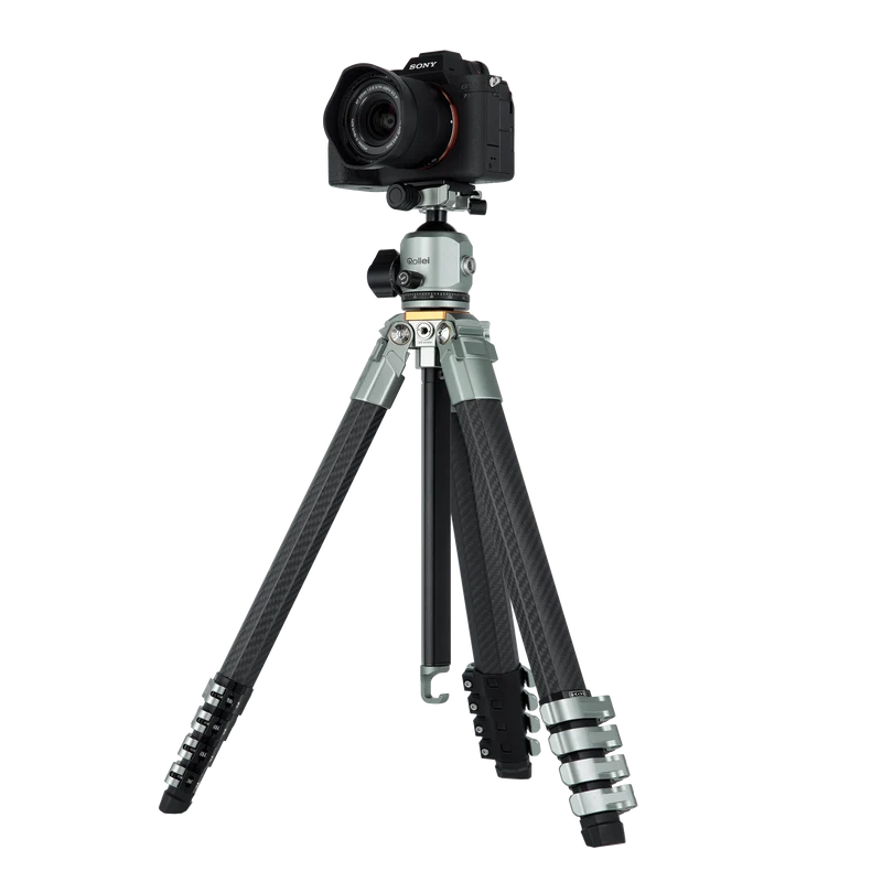 Lion Rock Traveler Pro inkl. Stativkopf