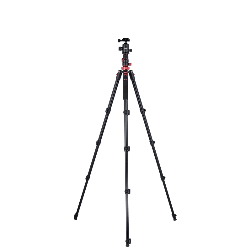Stativ I Compact Traveler No.2 XL I Foto